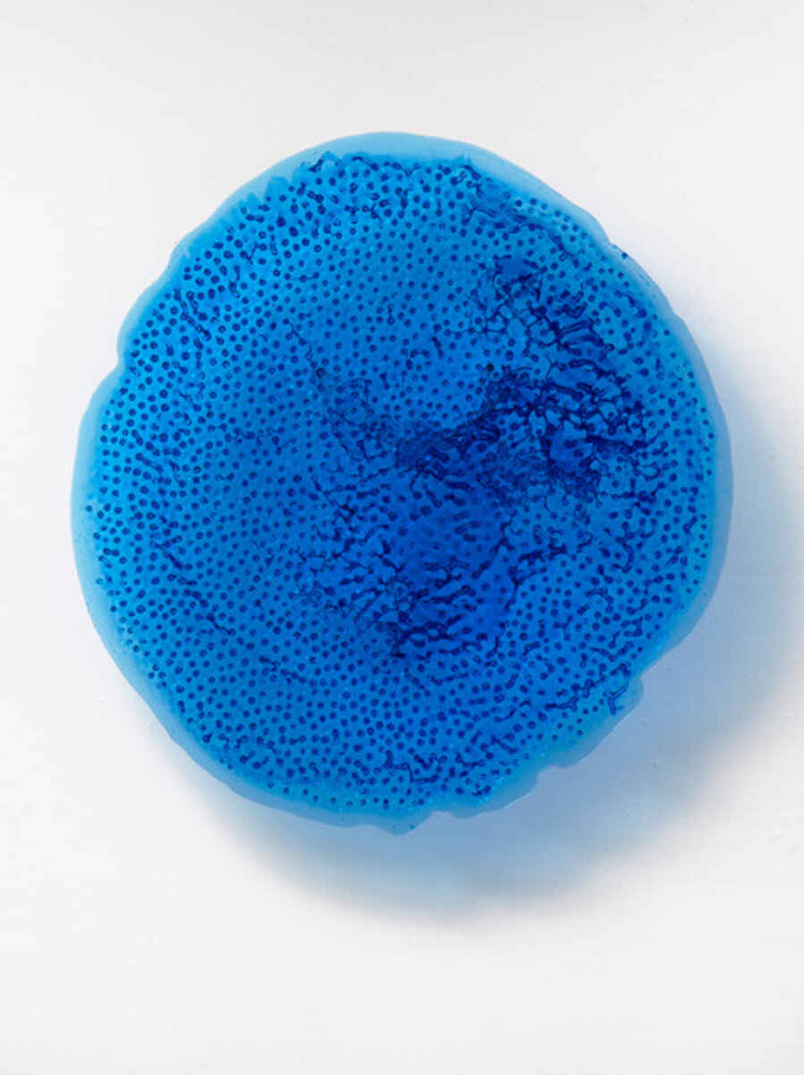 Drippings, Bleu