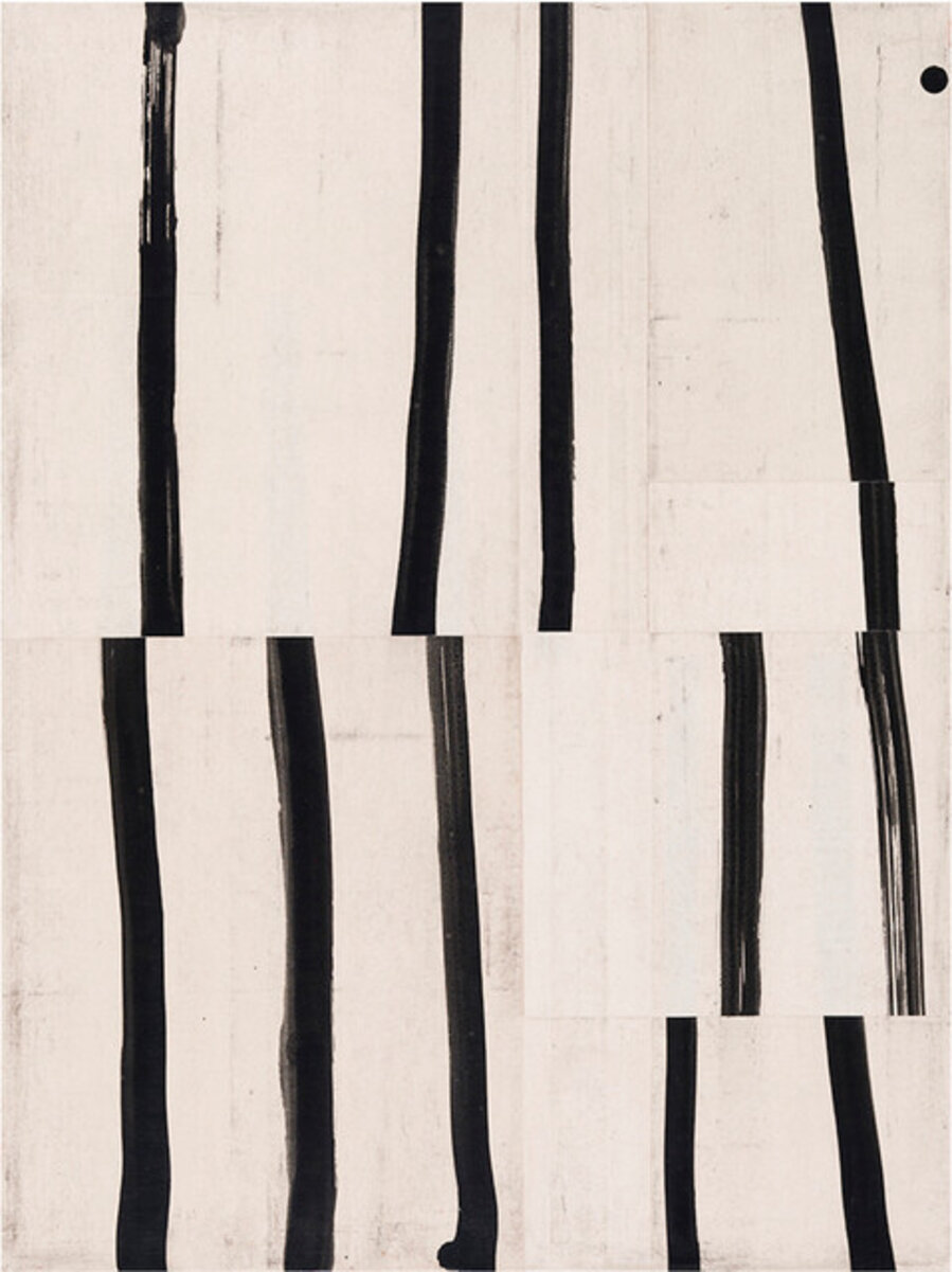 Thicket XVI