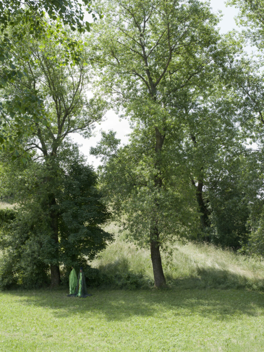 Mimetic Landscape