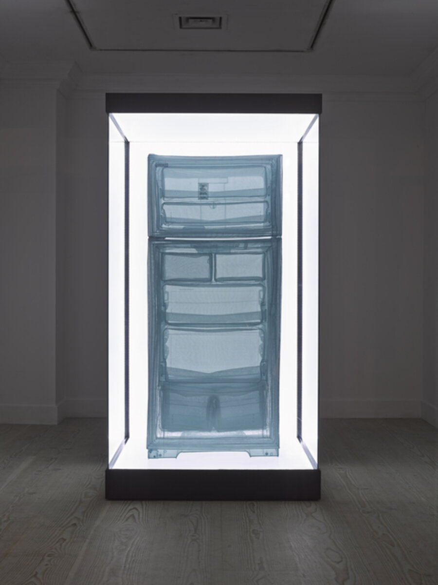 Specimen Series: Refrigerator, Apartment A, 348 West 22nd Street, New York, NY 10011, USA