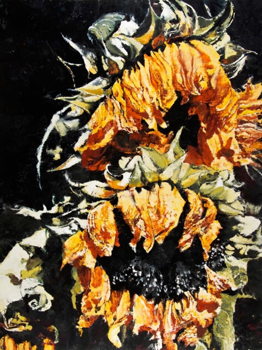 Tournesols