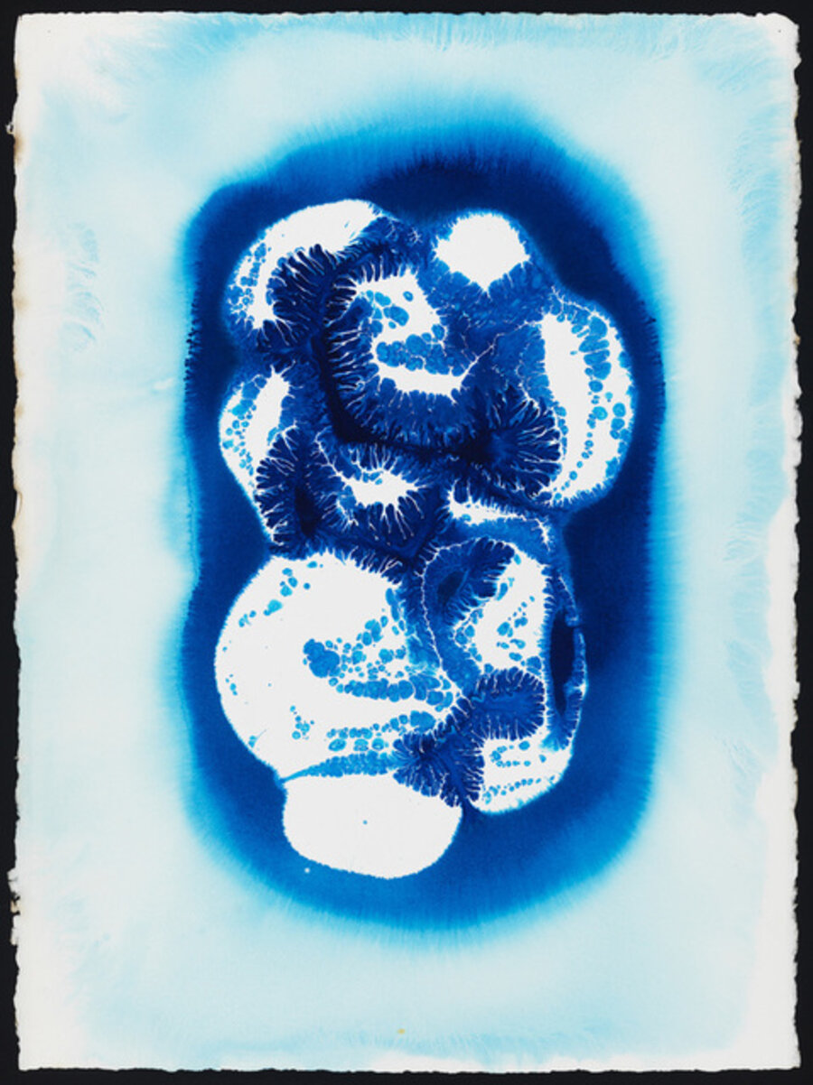 Blue #29