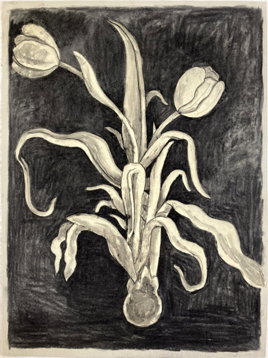 Tulips XXI