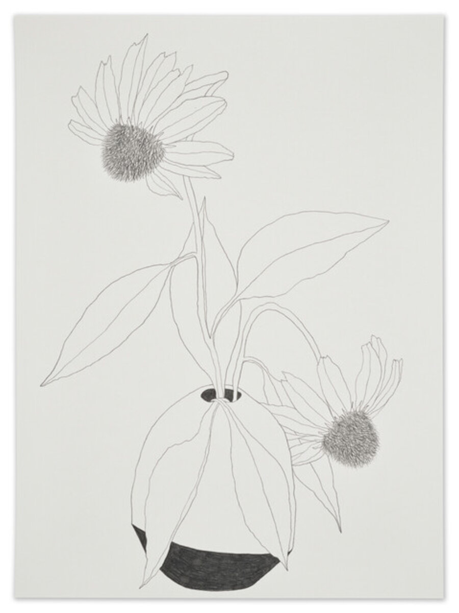 Drawing #199 (Coneflowers), August 17, 2024