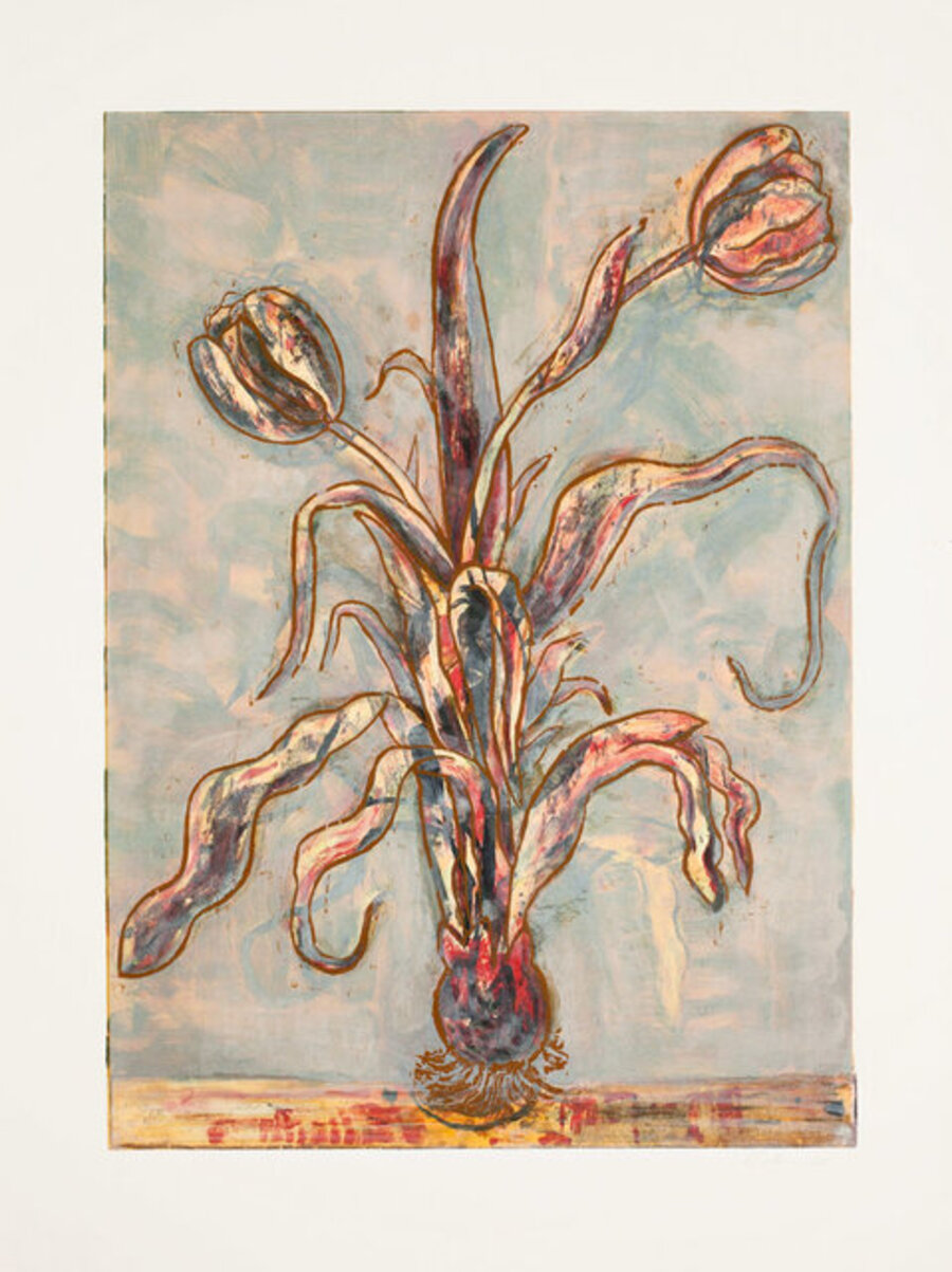 Tulips IV