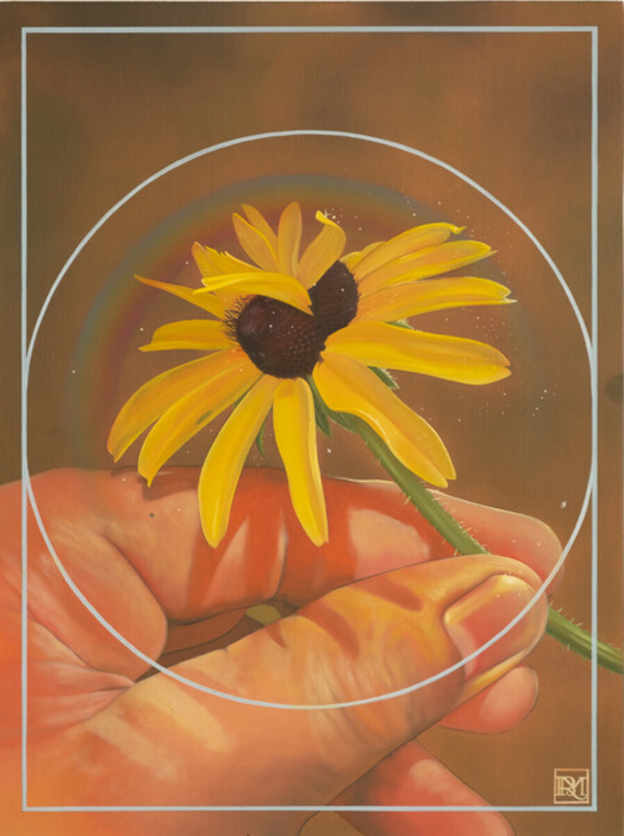 Abundance of the Black-eyed Susan Patch