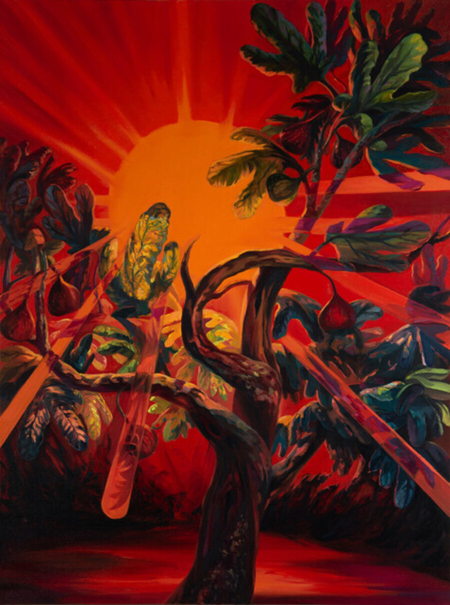 Flood of Light
