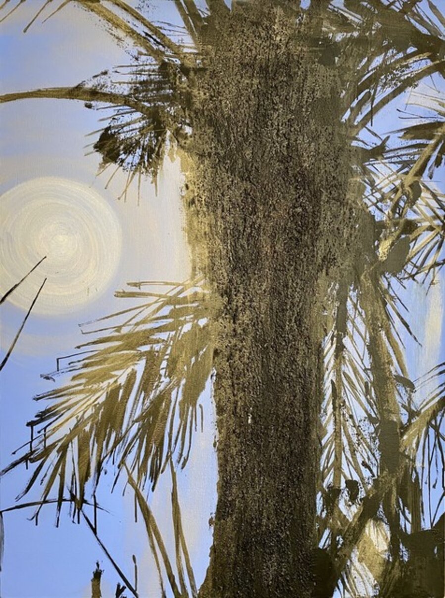 Palm Trees from the Phoenix Dactylifera