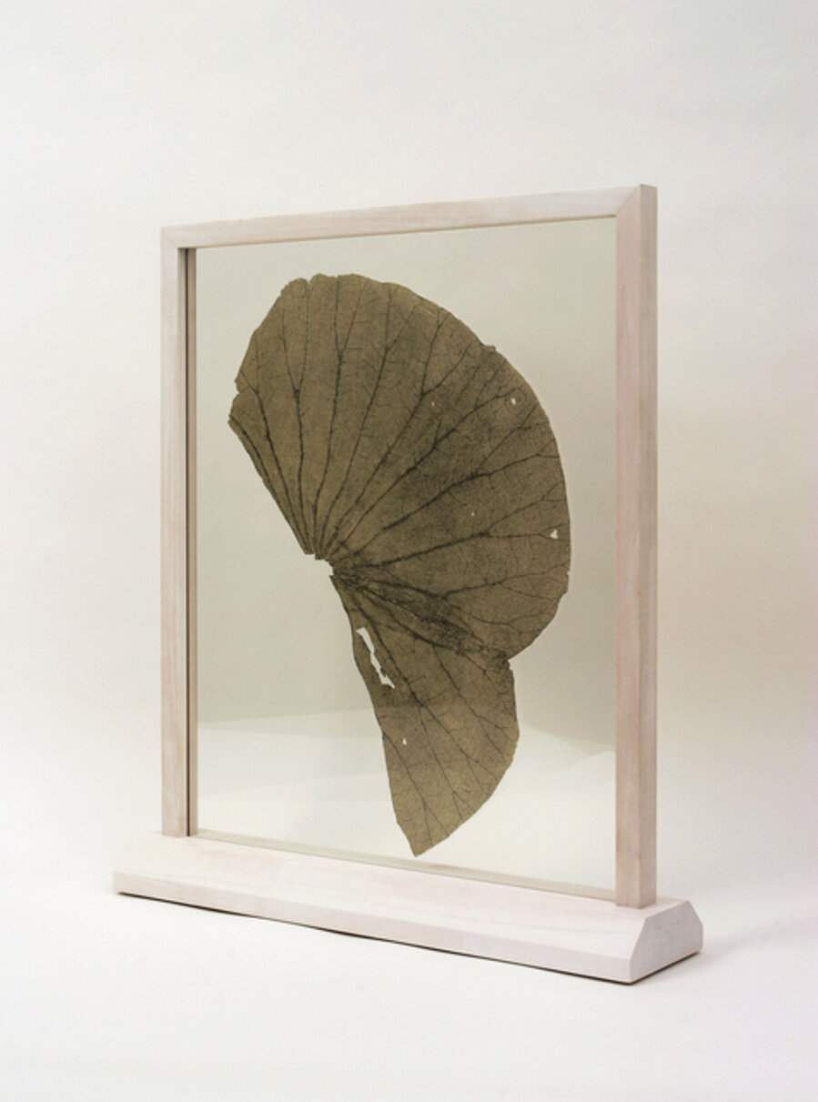 Lotus Leaf