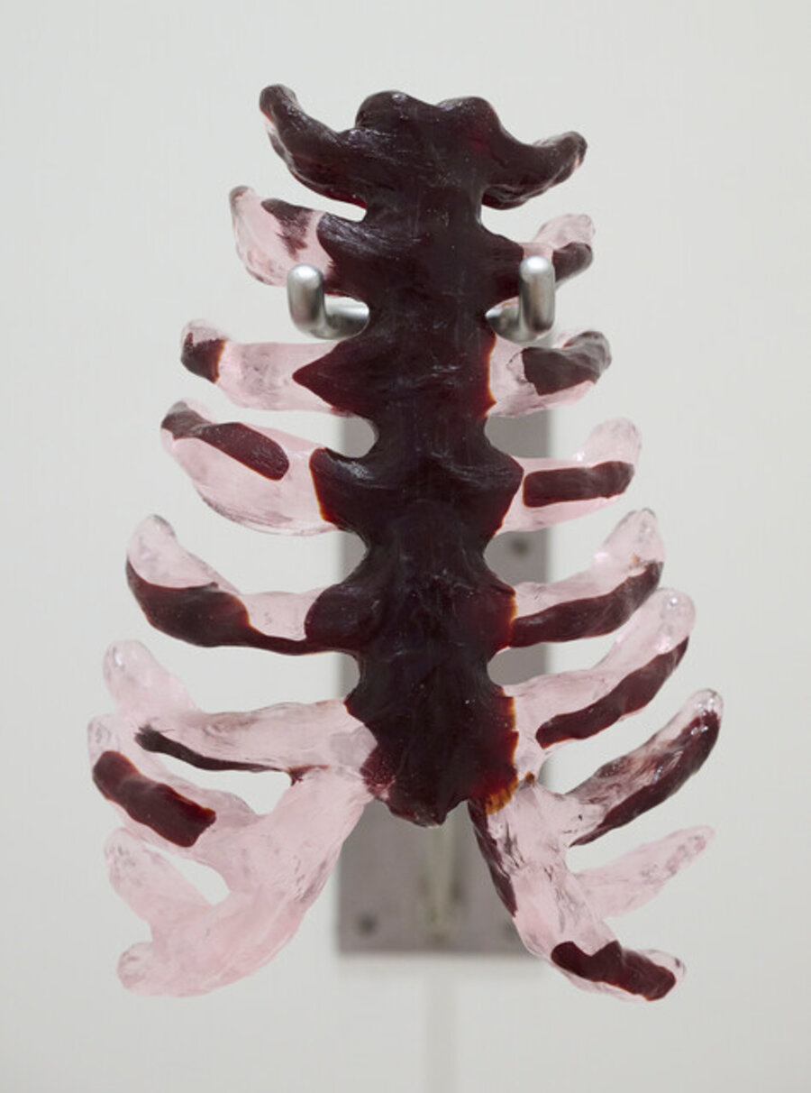 Ribs 2