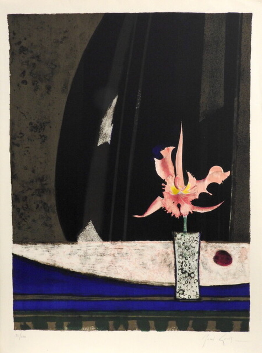 L'orchidee