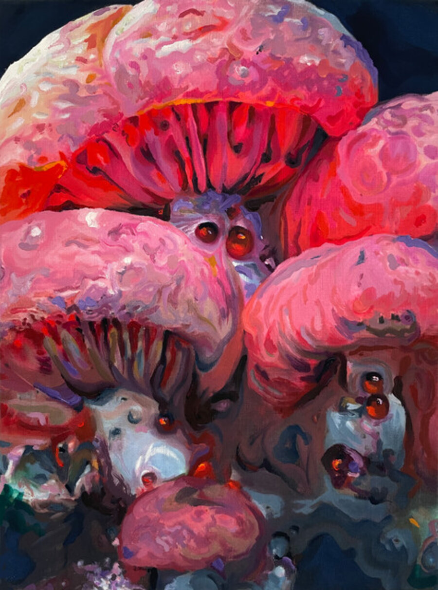 Megacosmos