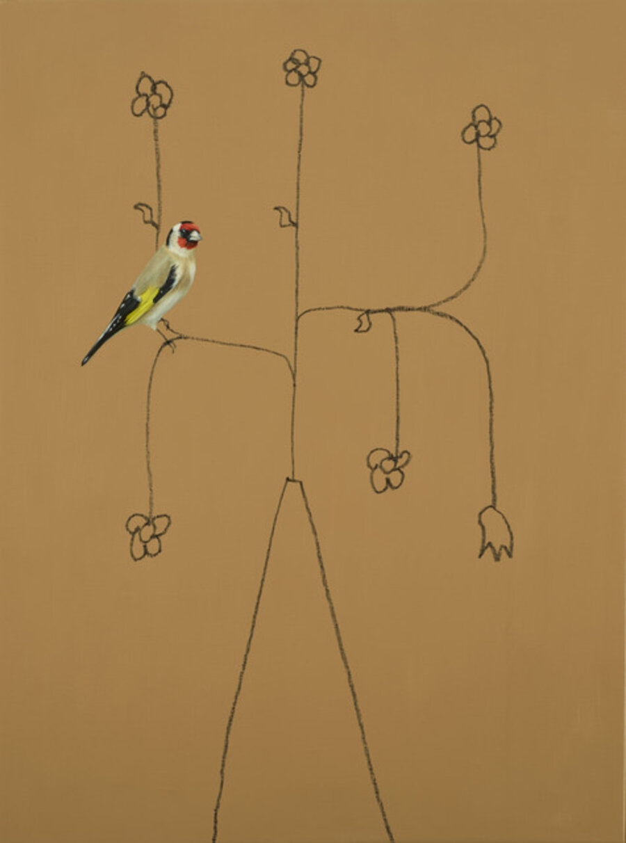 Goldfinch