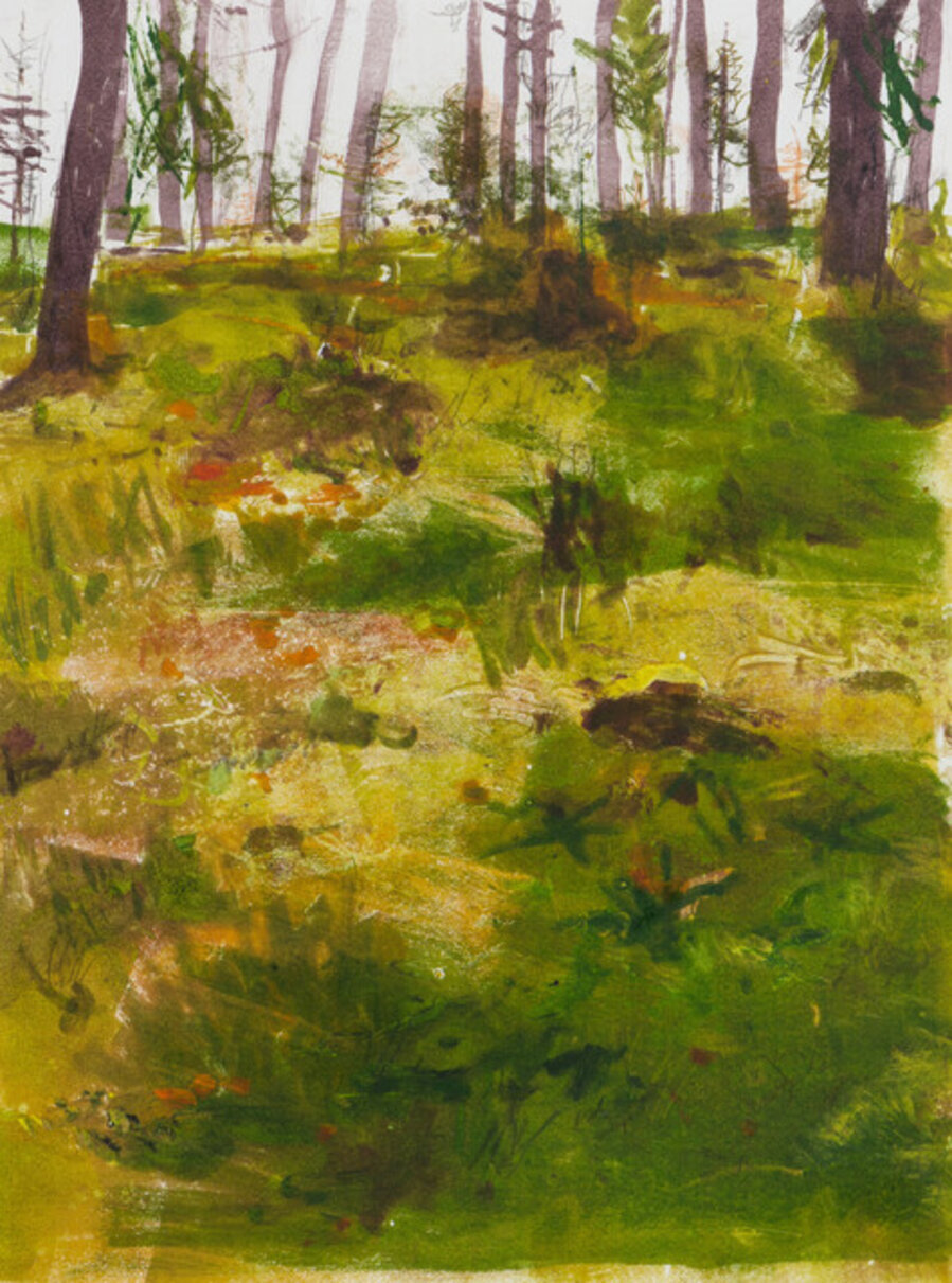 The Moss Forest