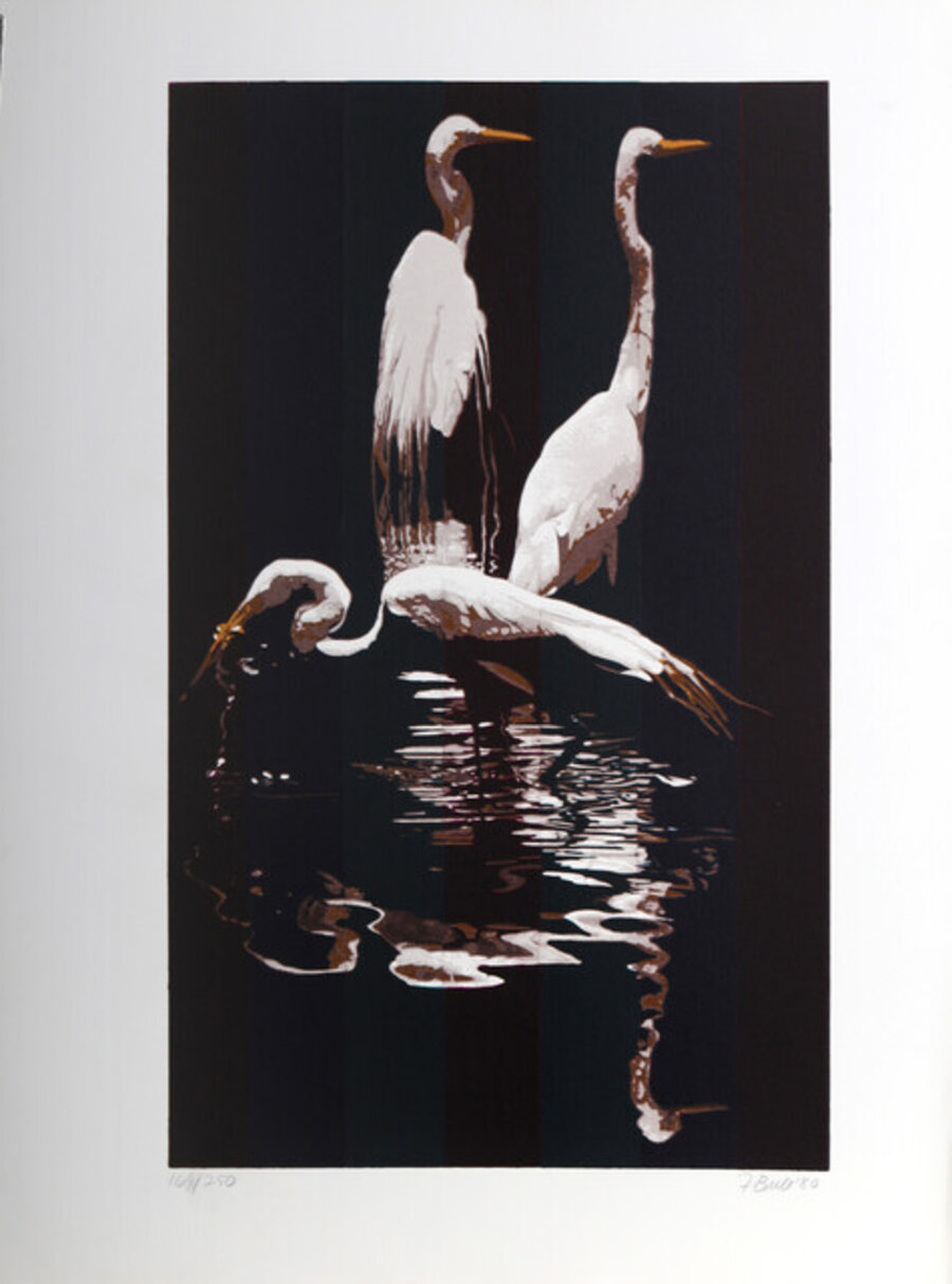 Egrets