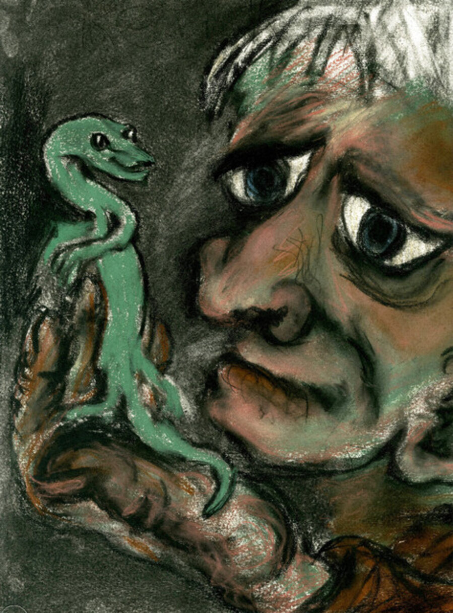 Man and Salamander