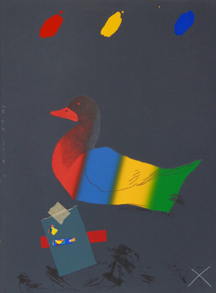 Duck out of Water
