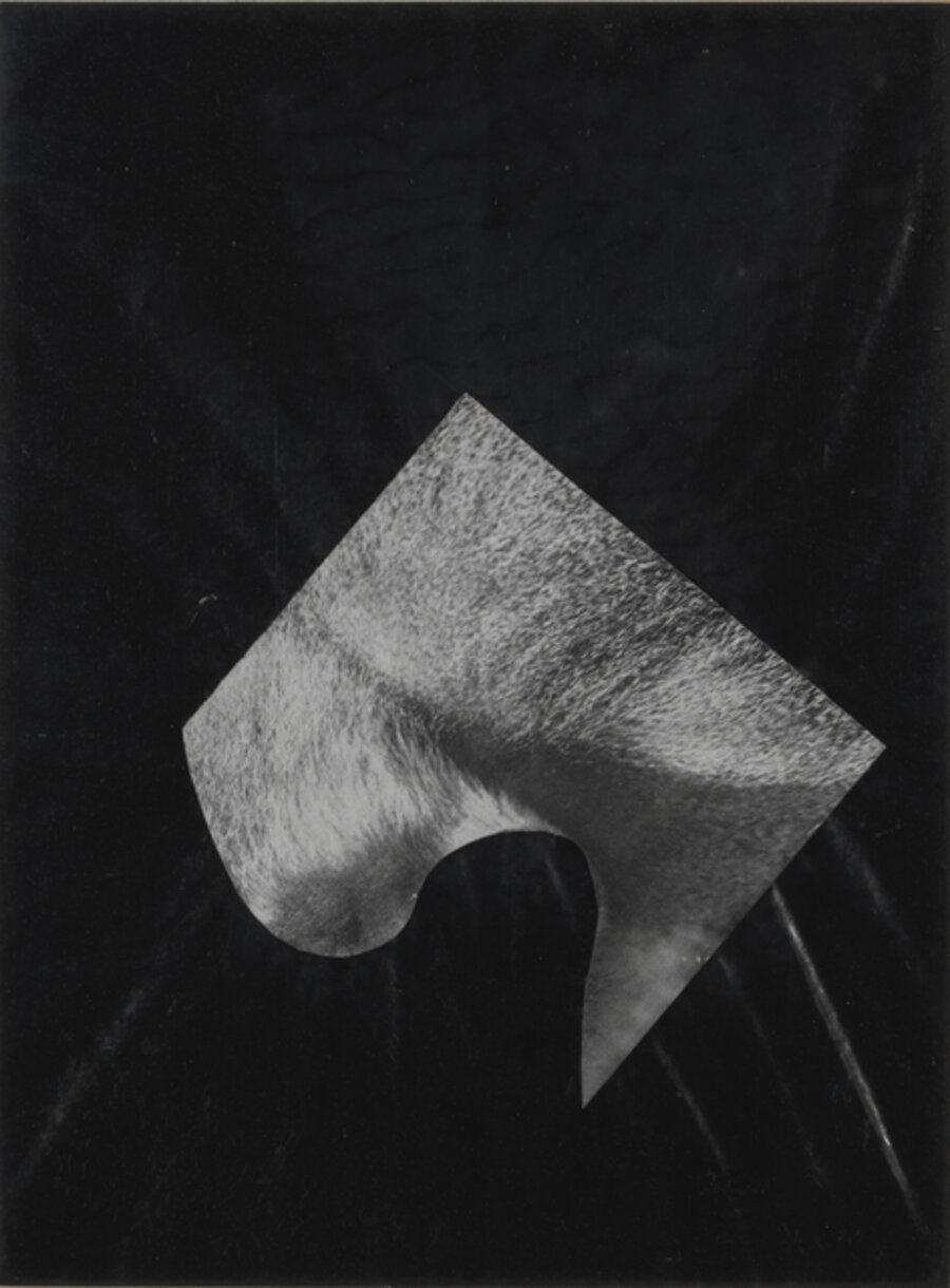 Photomontage with Object No. 5