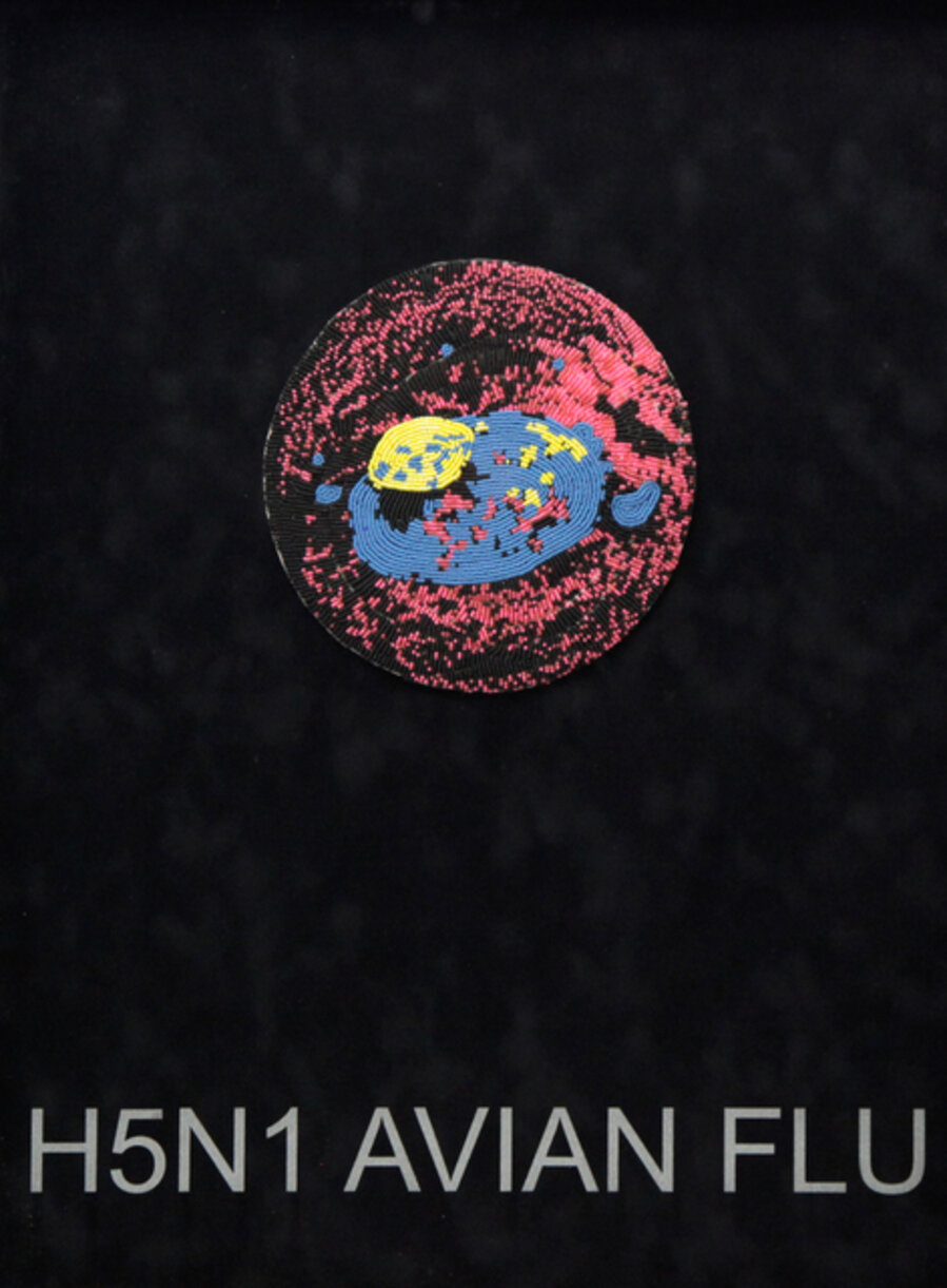 H5N1 Avian Flu