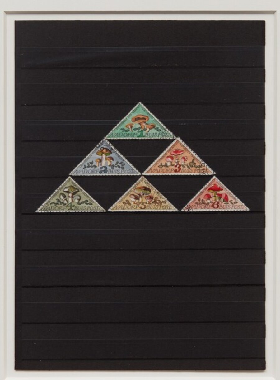 Nadorp, 1965. Mushrooms