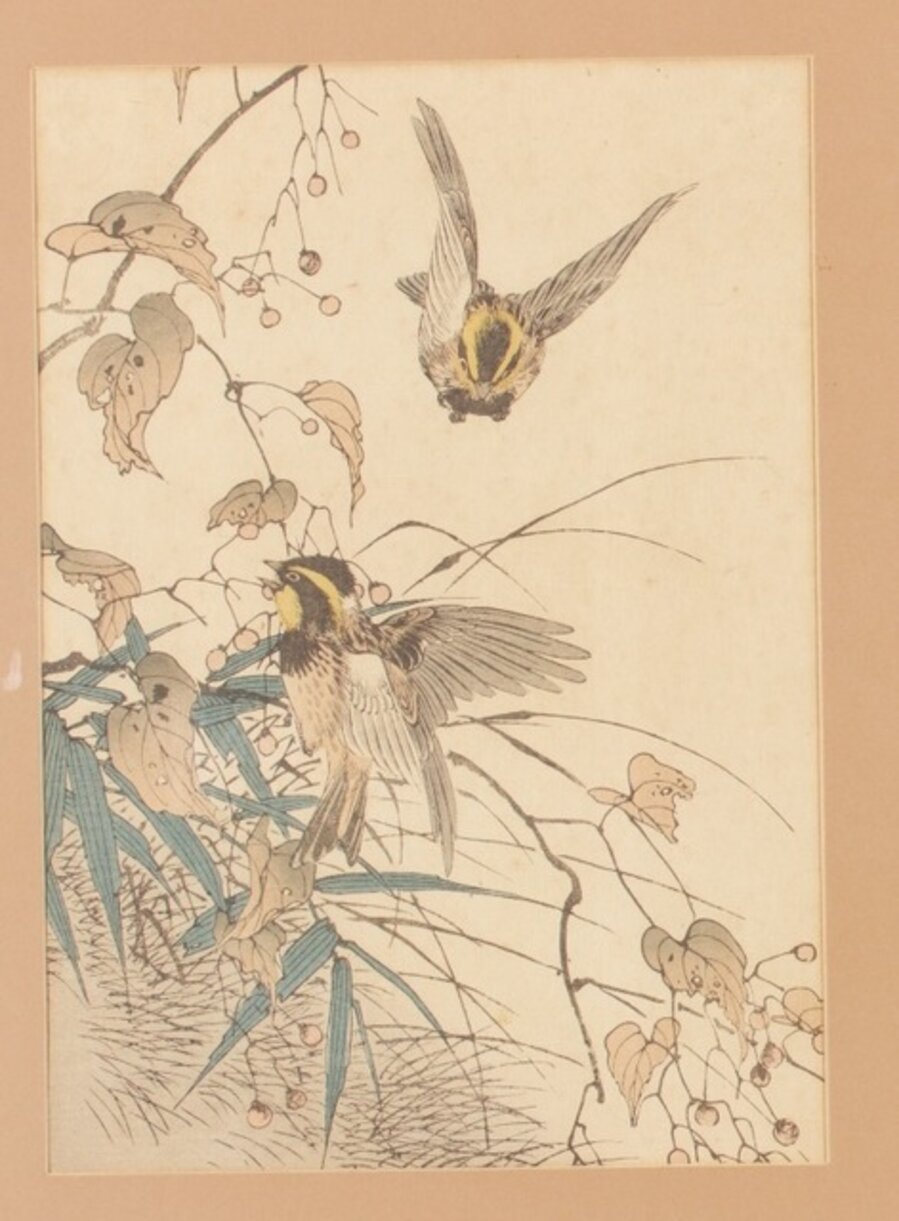 Soja, alcaudón y apalopteron (Daizu hakurō meguro 大豆-伯労-メグロ)