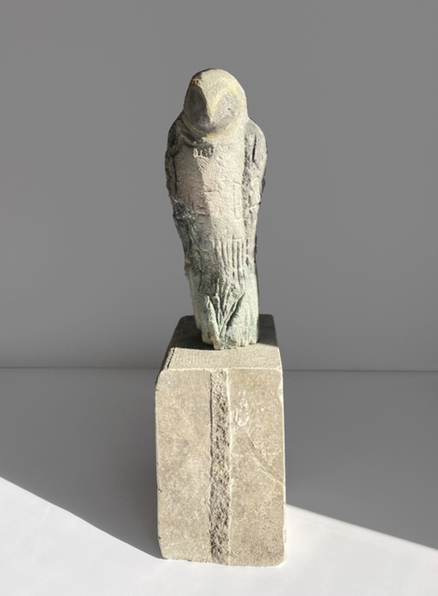 Yellowstone Owl