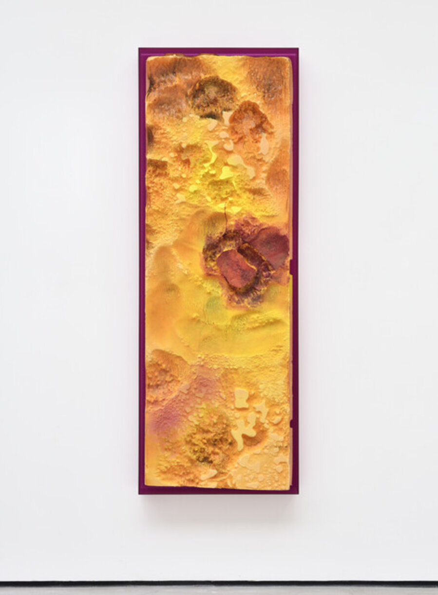 Croûûûte criarde saison rose