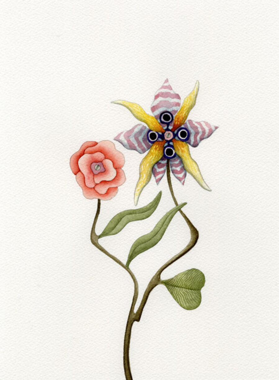 Hudson Flower 2