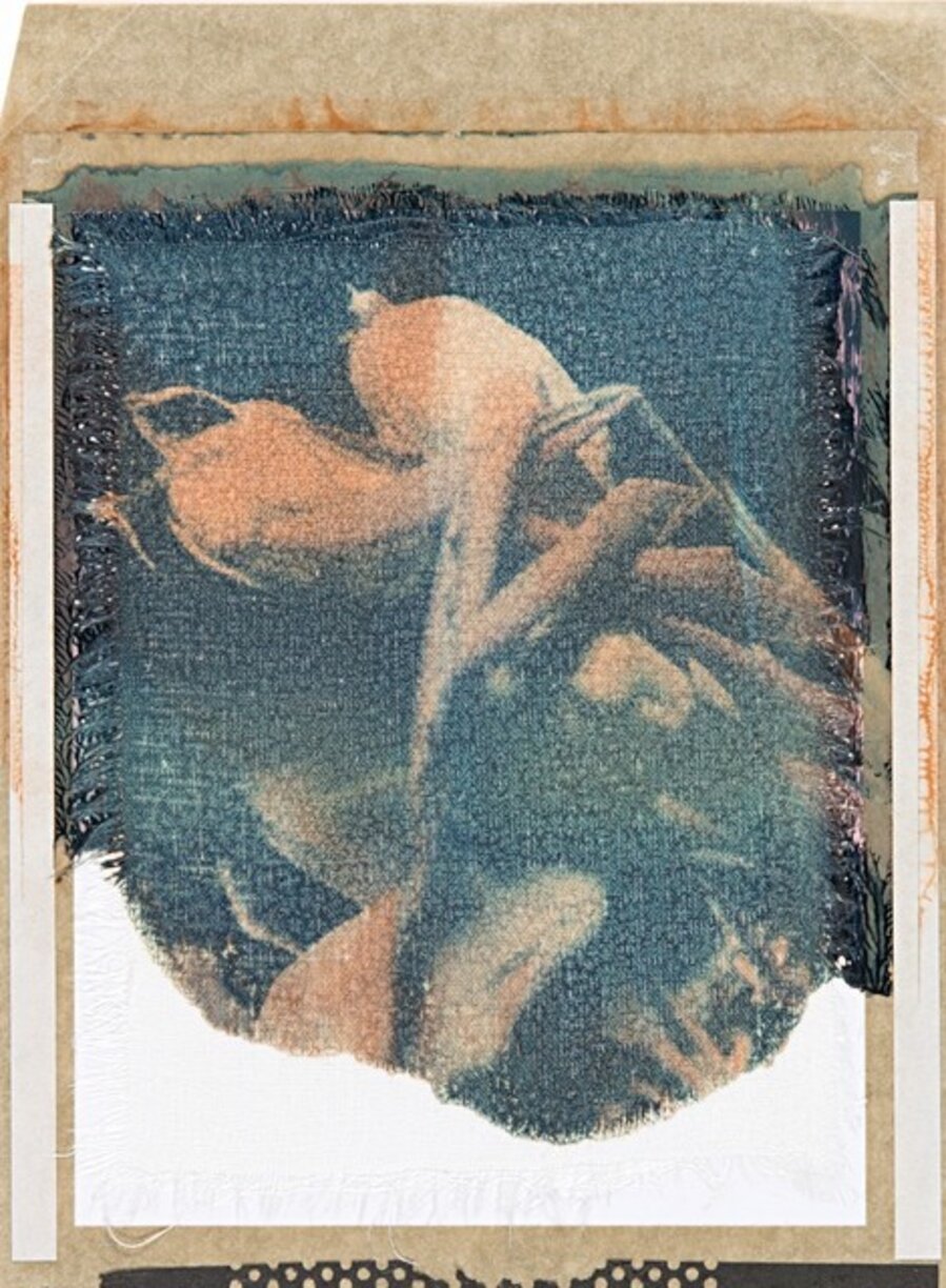 Fiori secchi