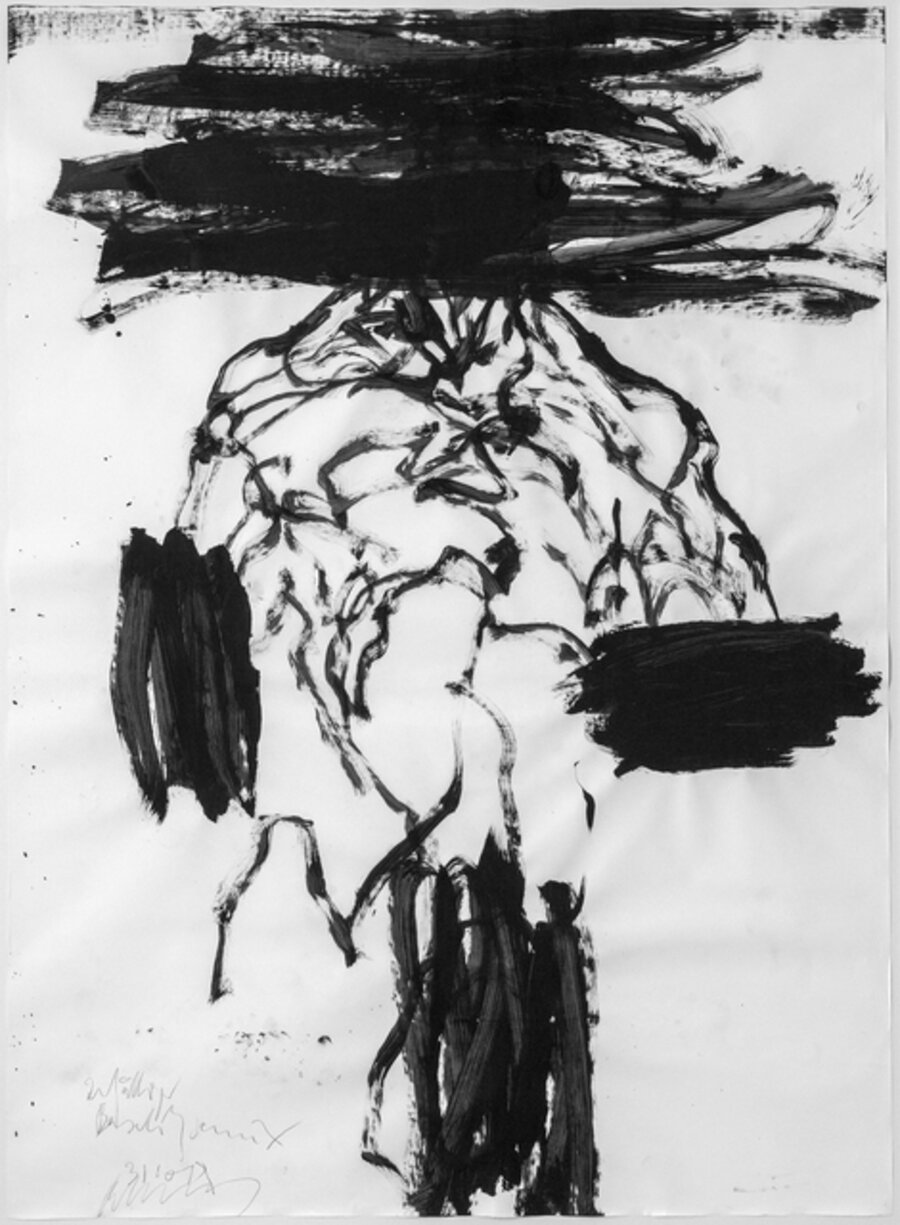 Torso