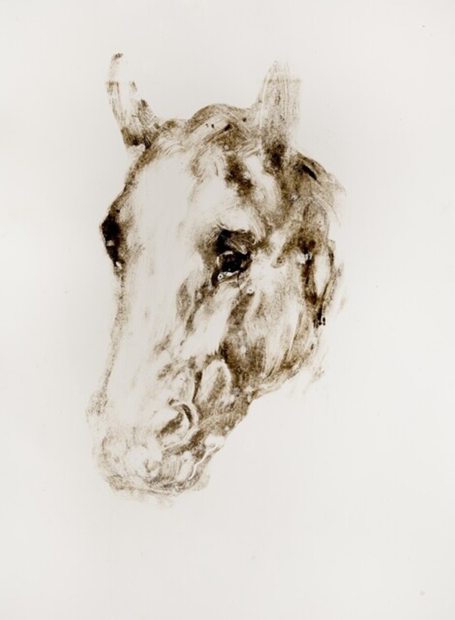 Horse Head