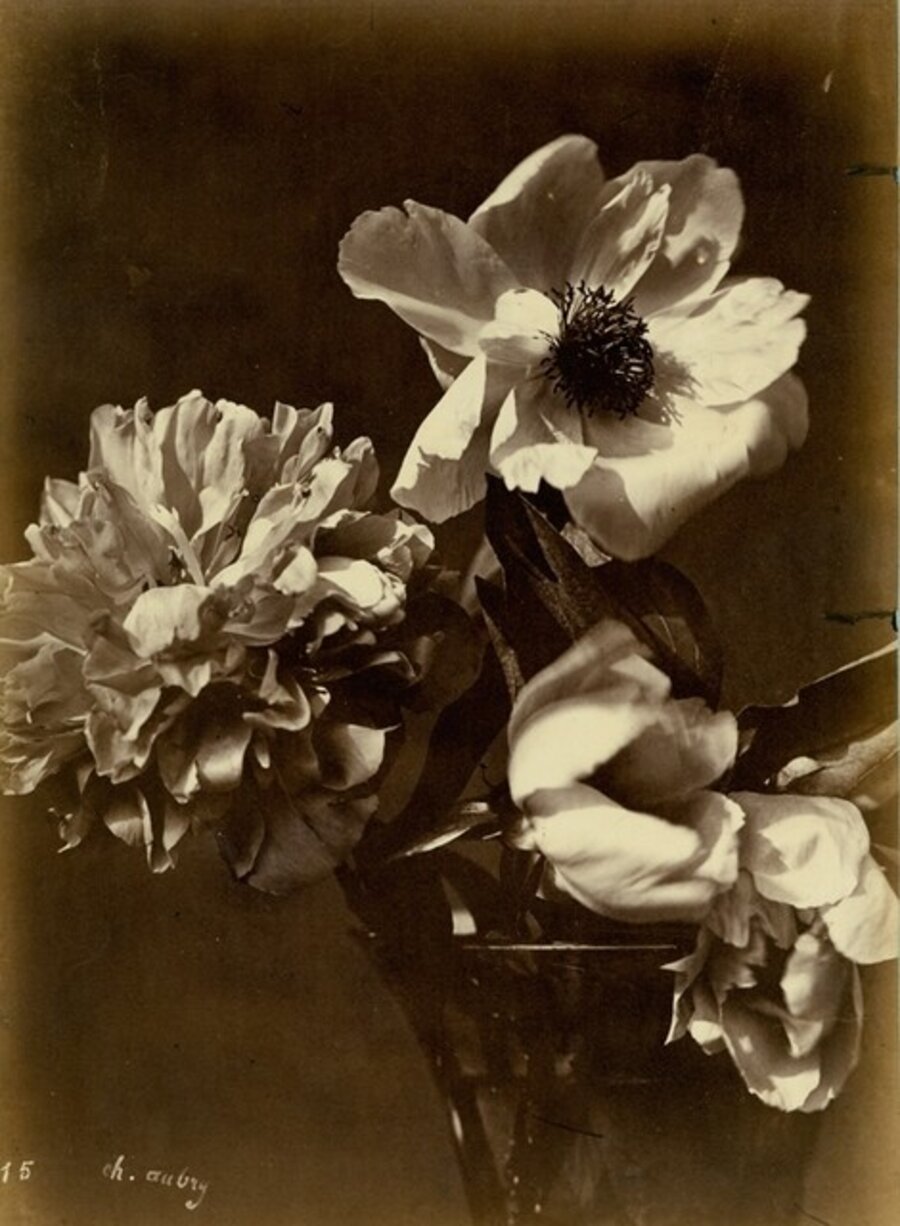 Flower Arrangement (#15)