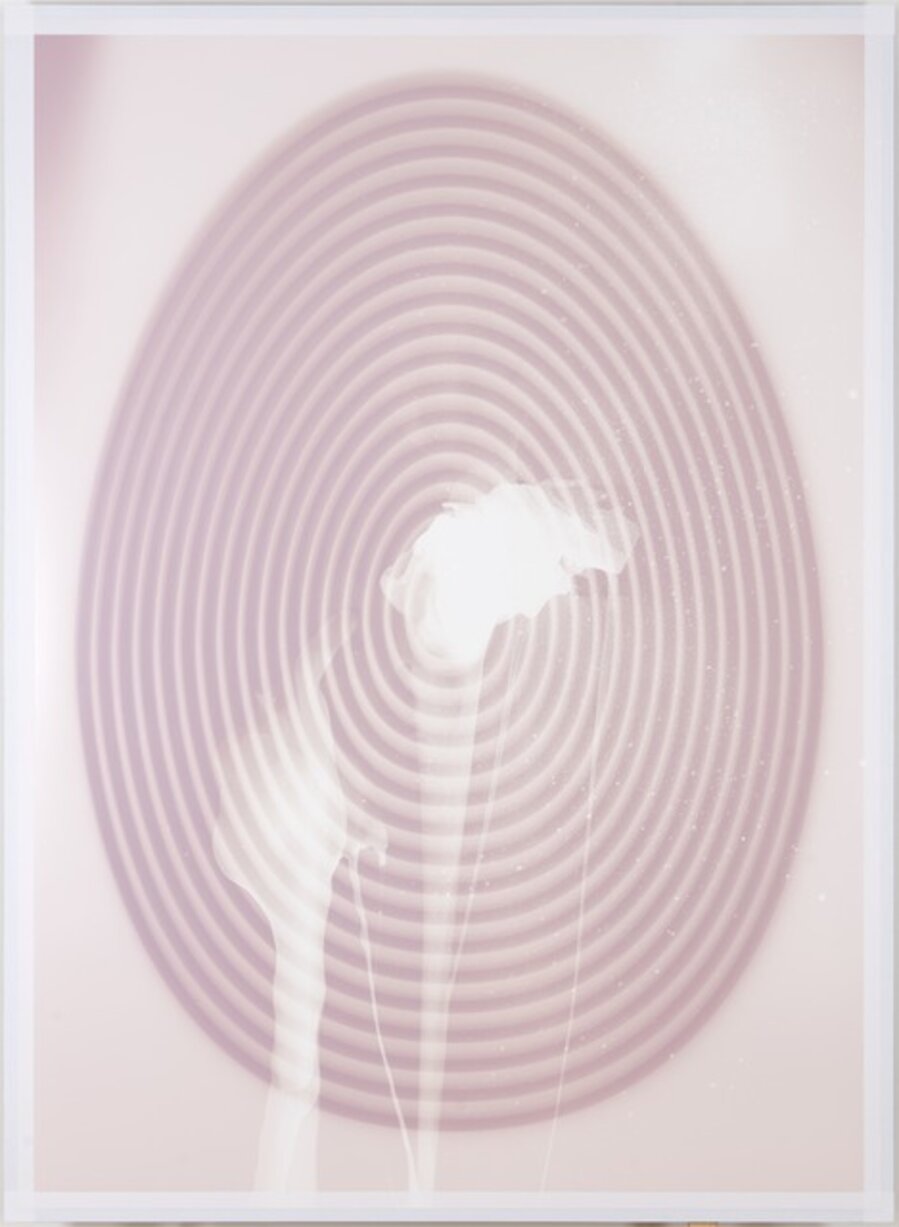 Fertilized Target Egg (Looney Sunn)
