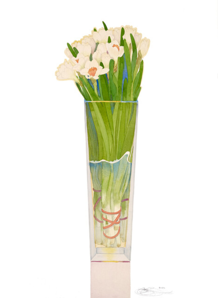 Narcissus