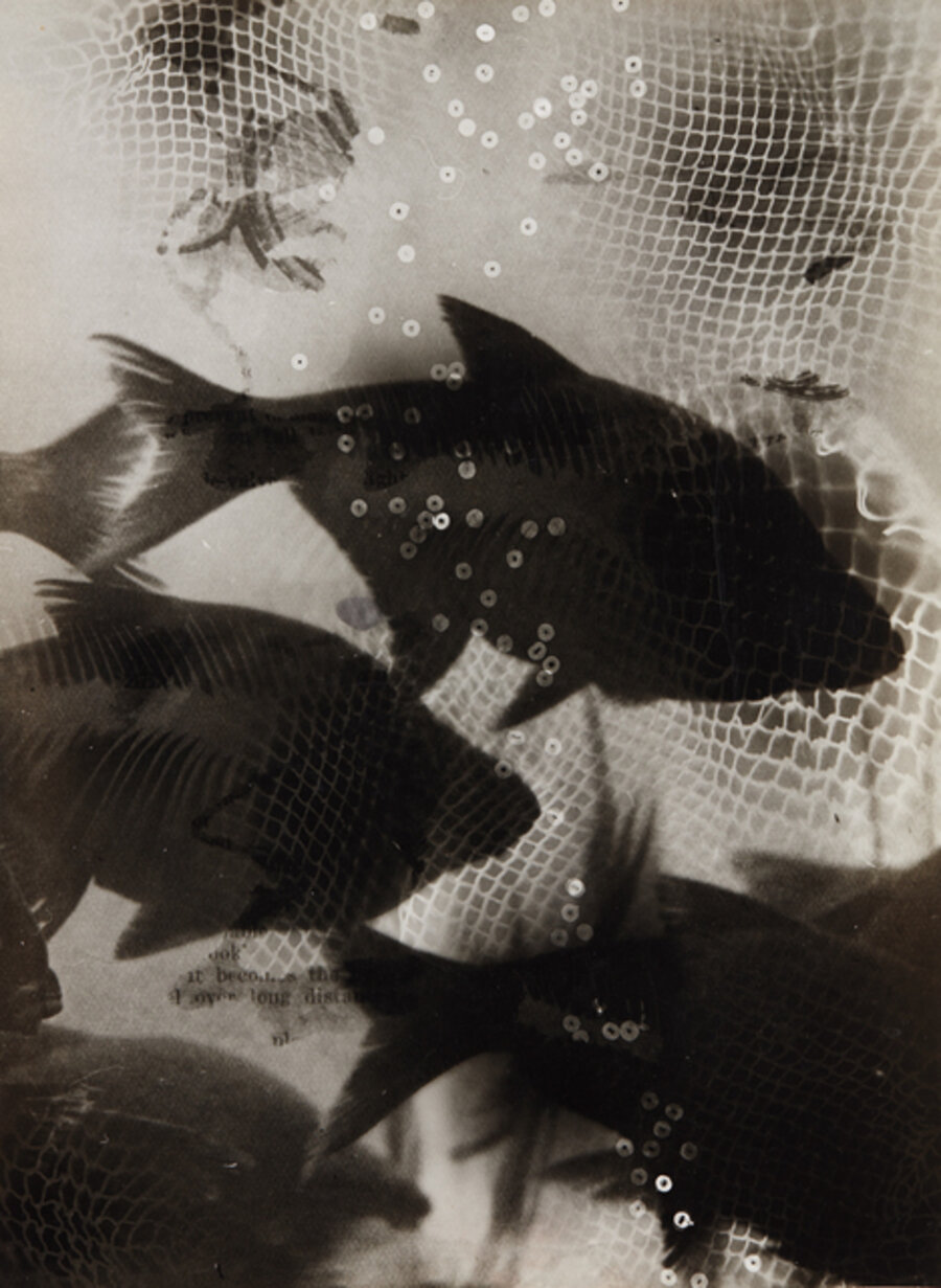 Träumende Fische (Dreaming fish)