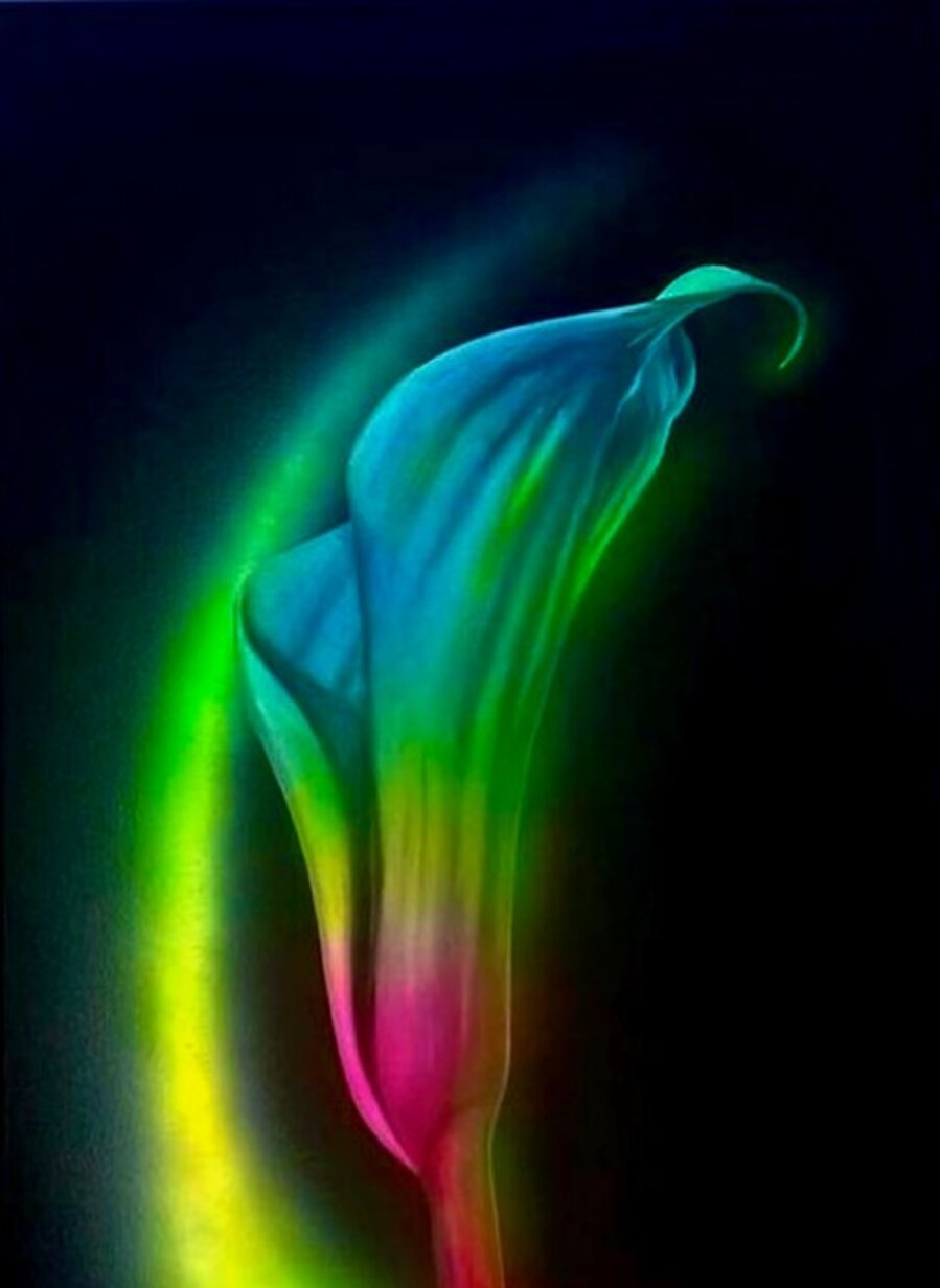 I Love Beauty. I am a Nihilist, But I Love Beauty