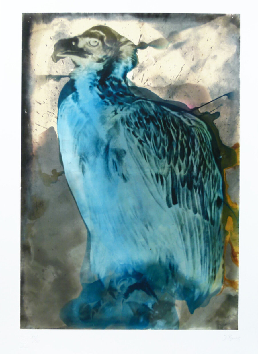 Vulture