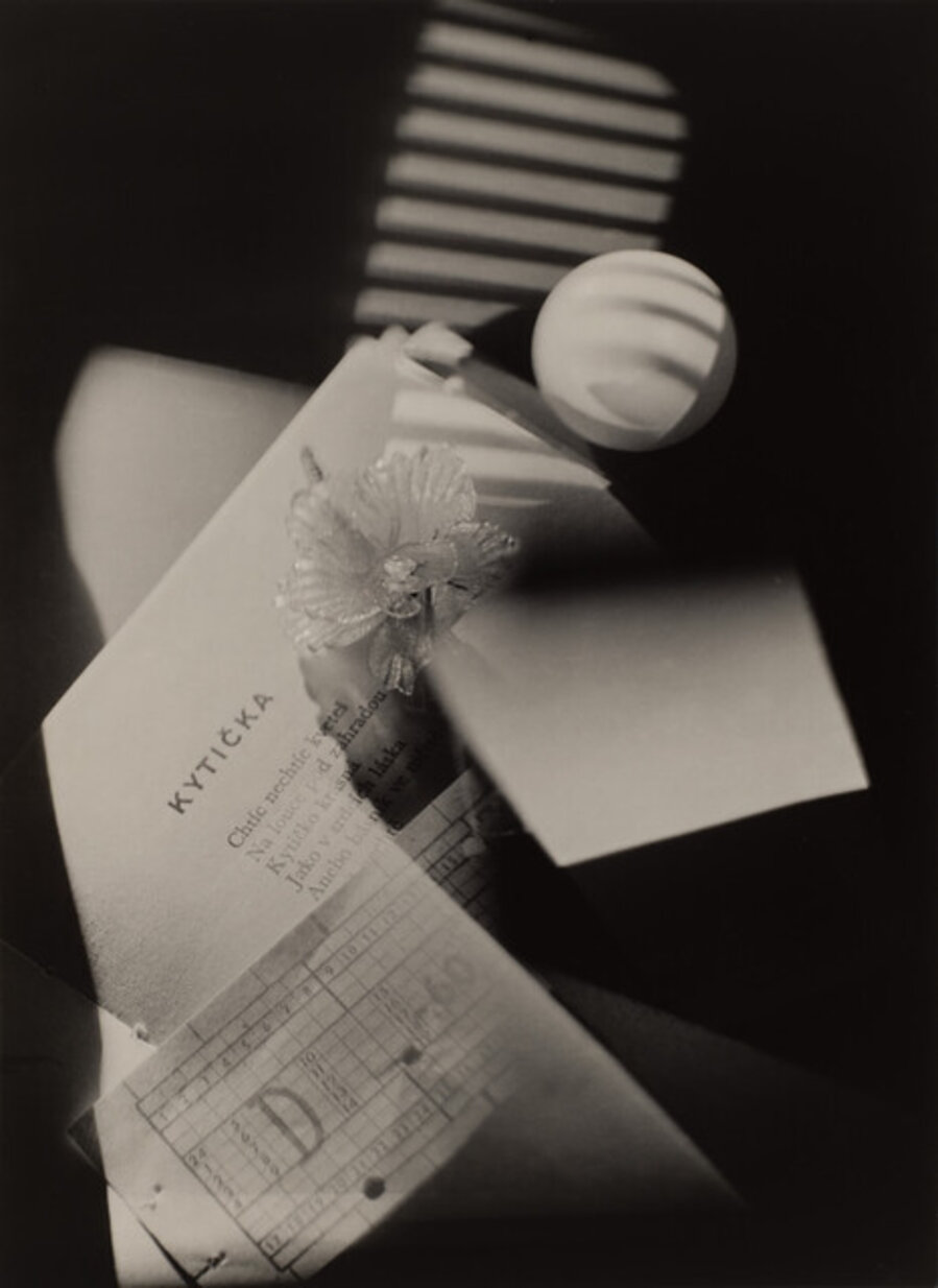 Kyticka II (A Flower)