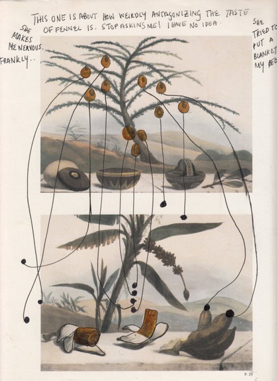 Untitled (of Scenes Of Territories series)