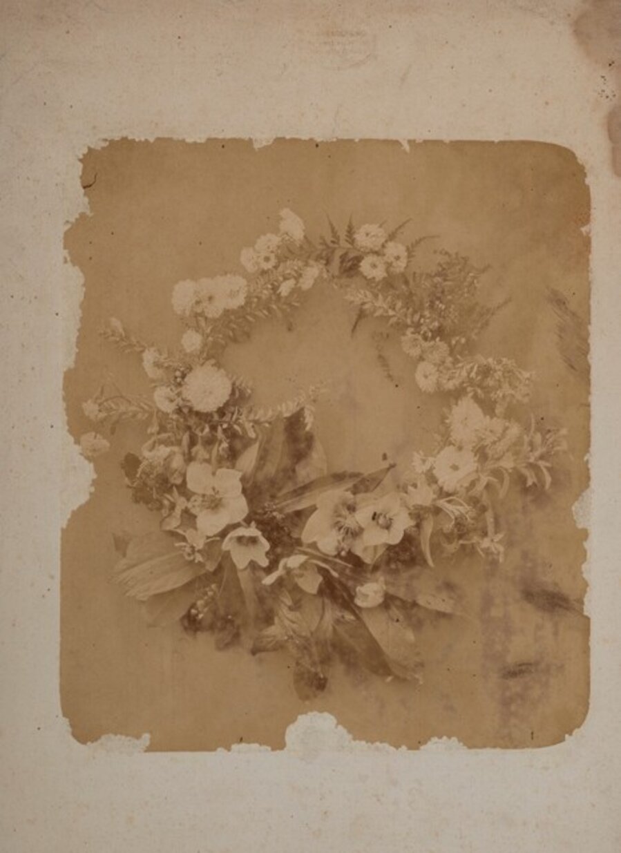 Untitled (Flowers)