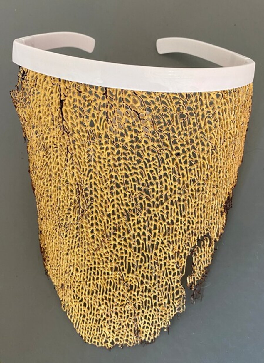 Mask 1