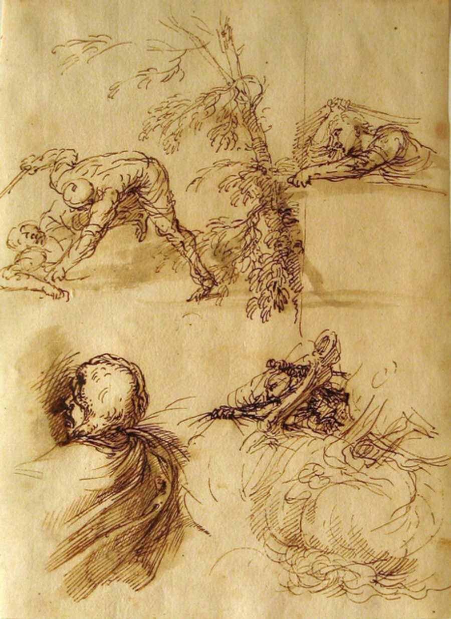 Sheet of Studies