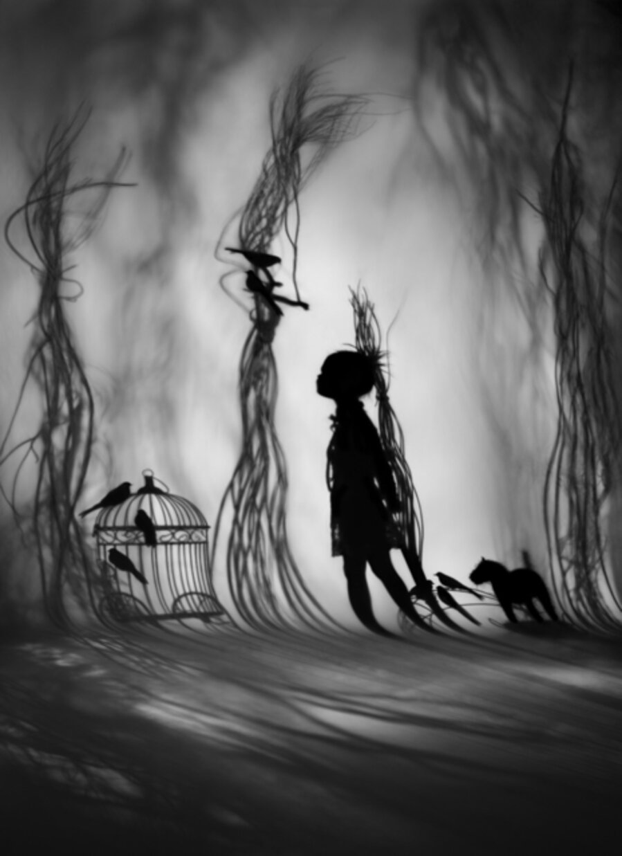 The Bird Collector