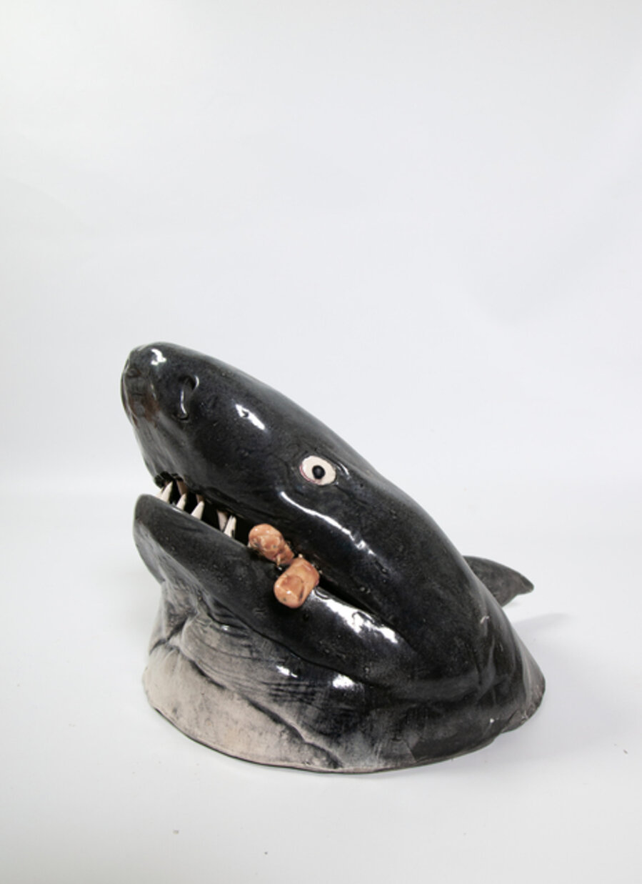 Shark Head (with human finger in mouth)