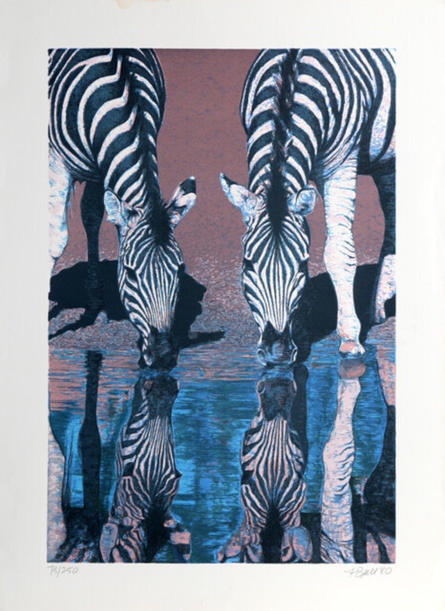 Zebras