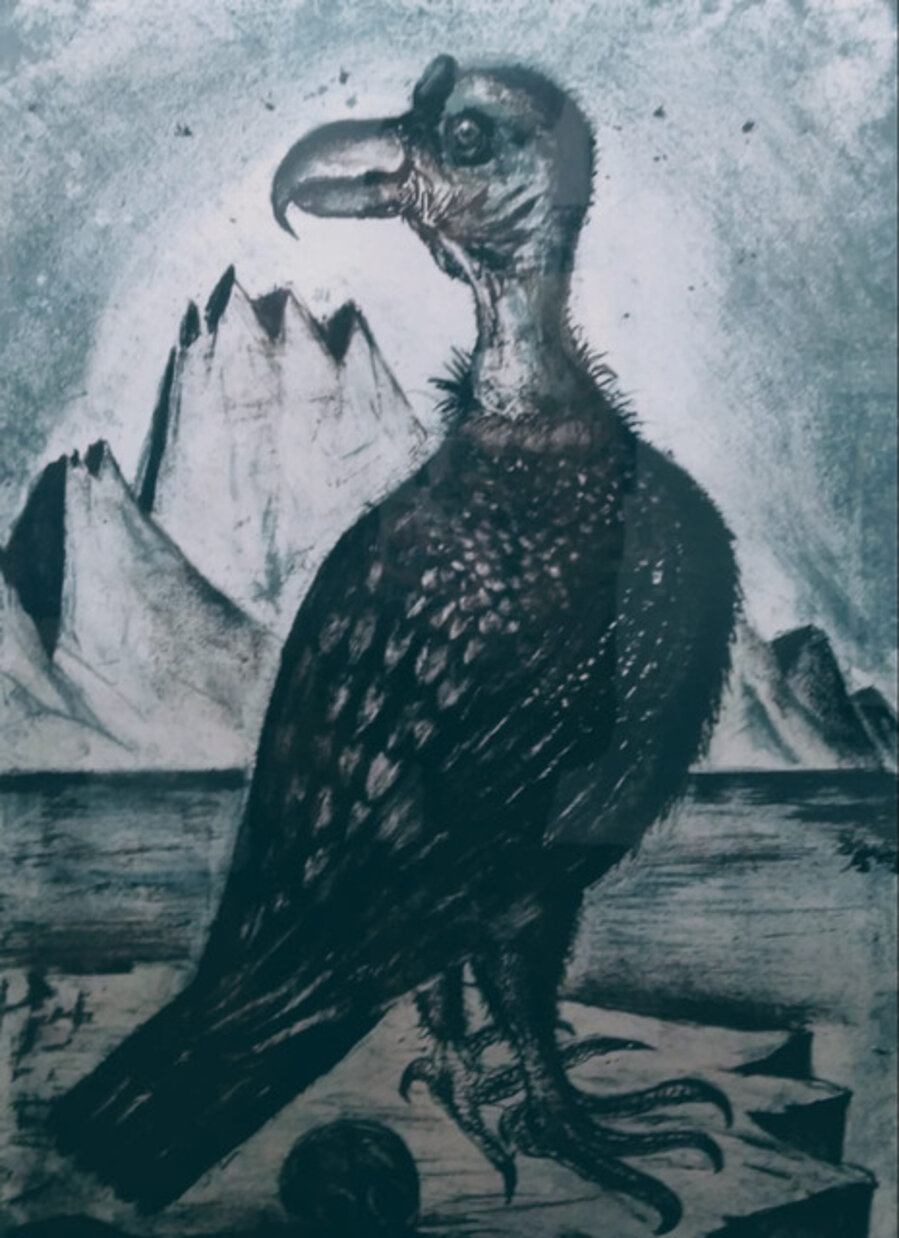 Vulture