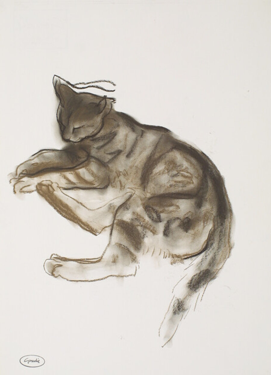Sleeping Cat