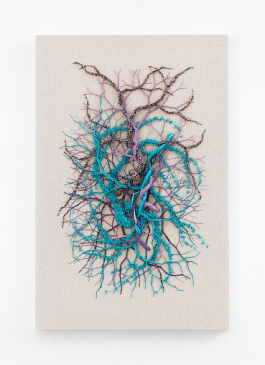 Ciclotrama 407 (Fungi)