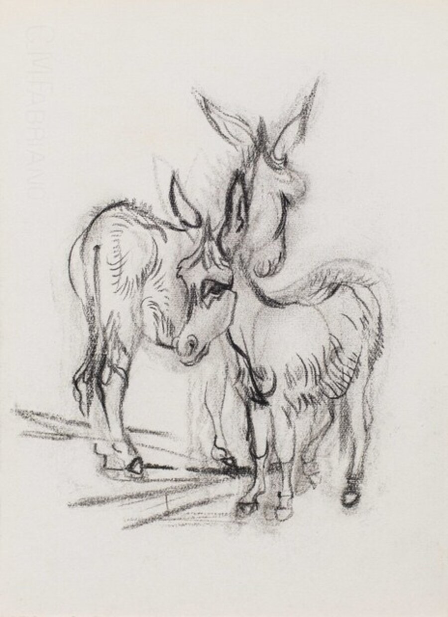 Two young Donkeys