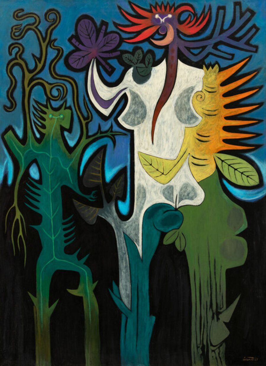 Rain Forest Images